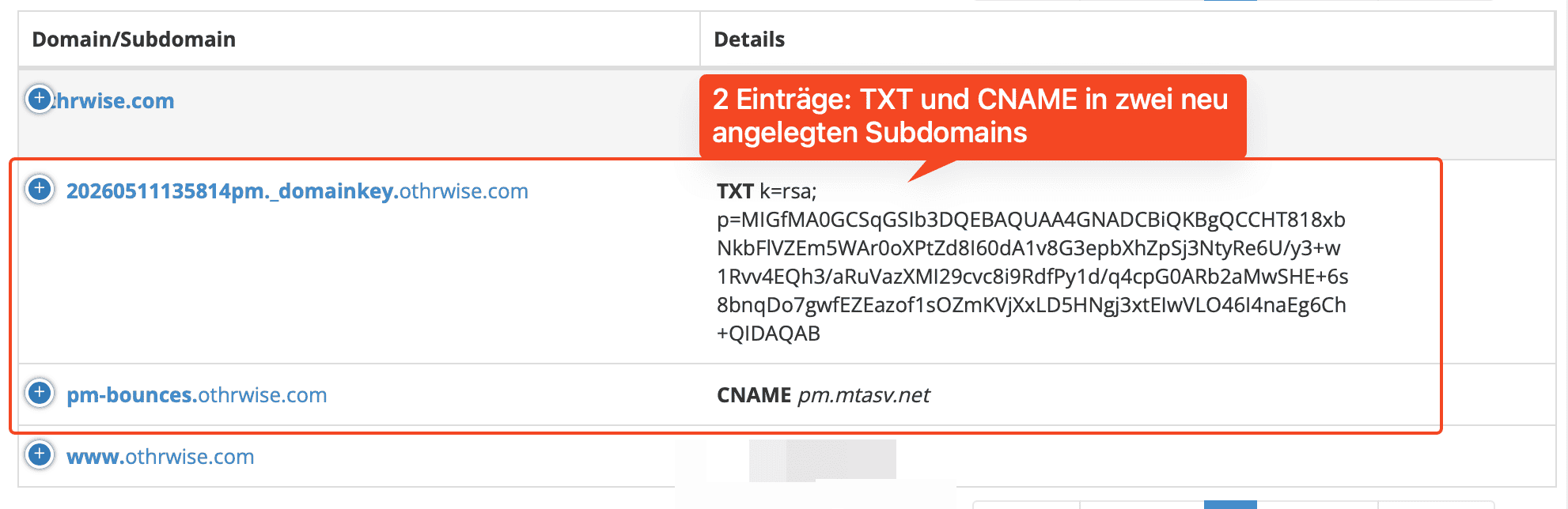 DNS-Provider Subdomain-Übersicht mit beiden angelegten Einträgen: DKIM TXT-Eintrag und pm-bounces CNAME-Eintrag